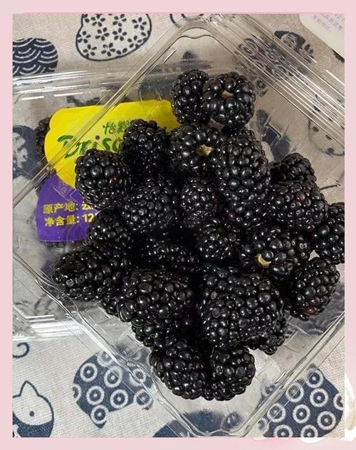 黑莓吧