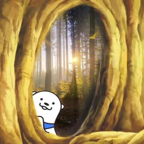 小天才心情监测不显示了