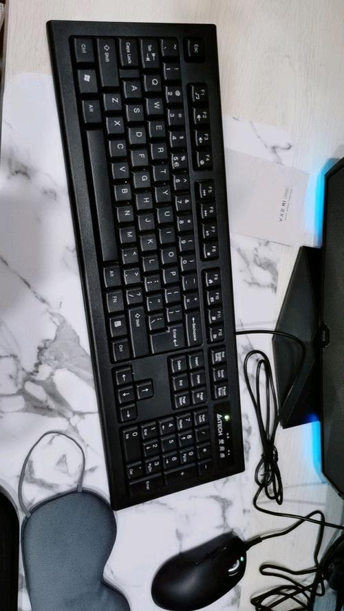 双飞燕A60