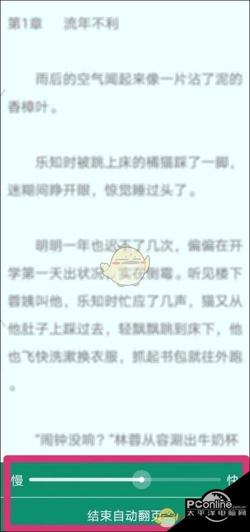 小说自动翻页脚本