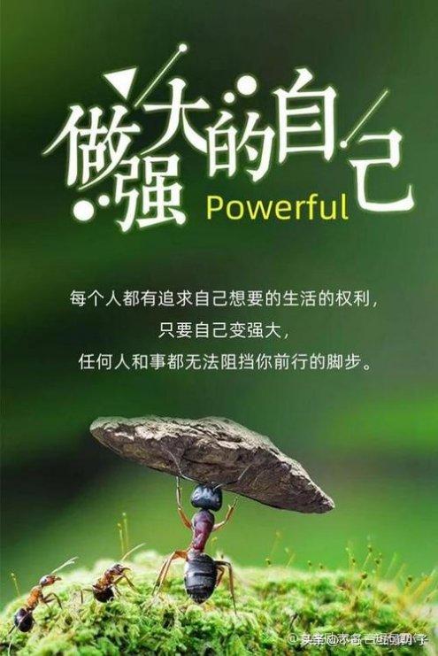 女人的霸气格言