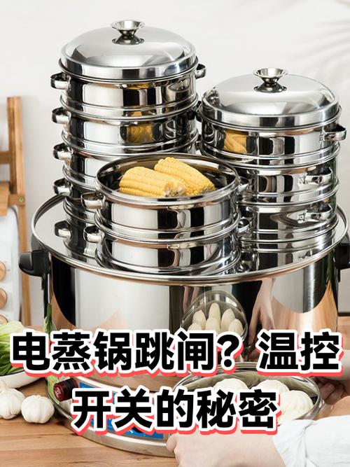 电蒸锅插电就跳闸是咋回事