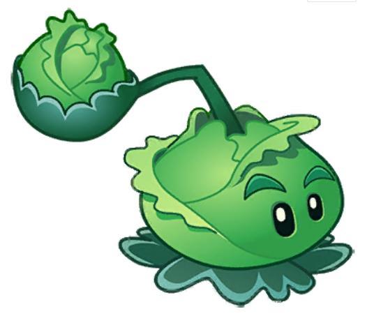 黄金卷心菜投手