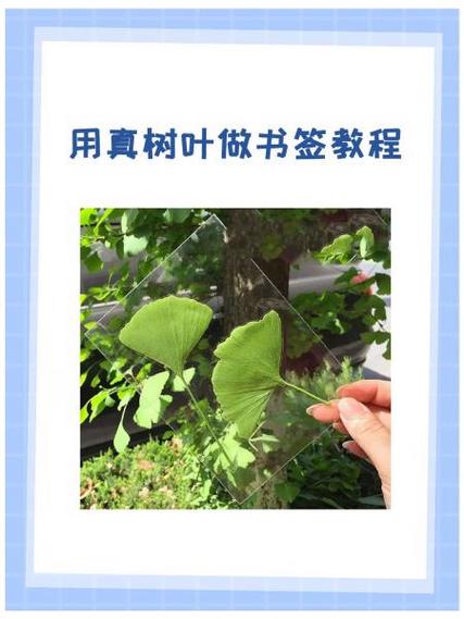 叶子书签制作过程