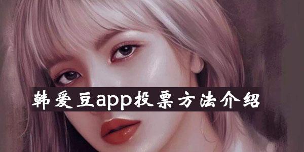 爱豆在哪里可以投票