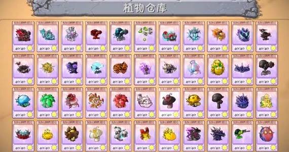 美美小店内置菜单版