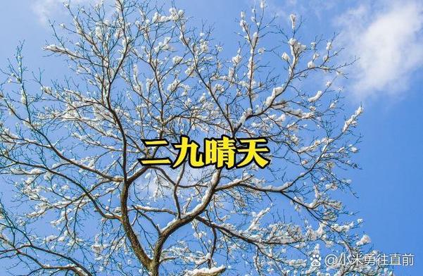 小米桌面时间显示农历截图
