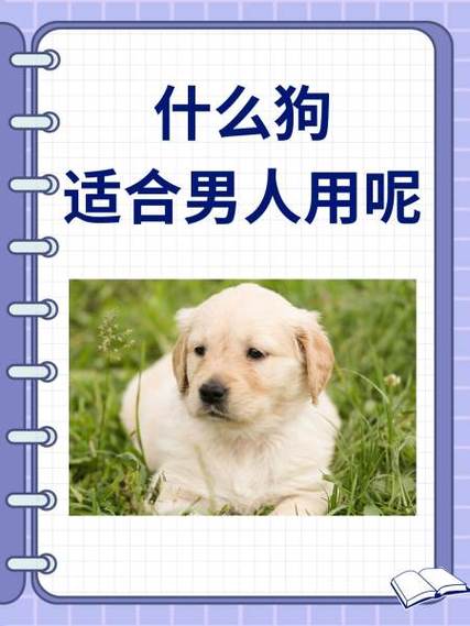 男生叫女生小狗代表什么含义