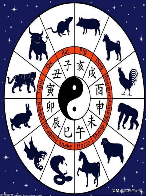 光阴似箭属什么生肖