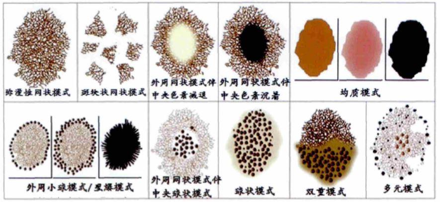 枪色和黑色眼镜哪个好游戏截图
