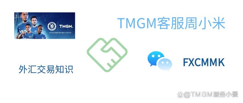 tmgm官网客户端app游戏截图