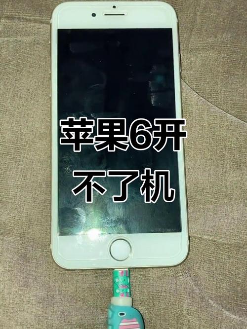 苹果6关机了充电不开机