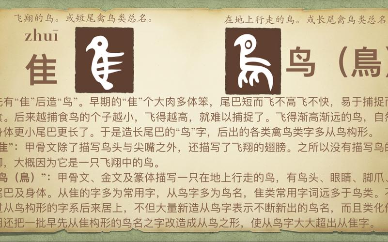 带有鸟和隹的字有哪些