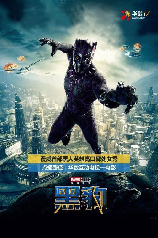 黑豹影视TV版