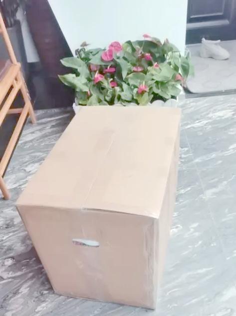 50斤的东西寄什么快递最便宜