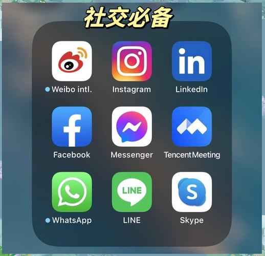 想上ins用哪个软件
