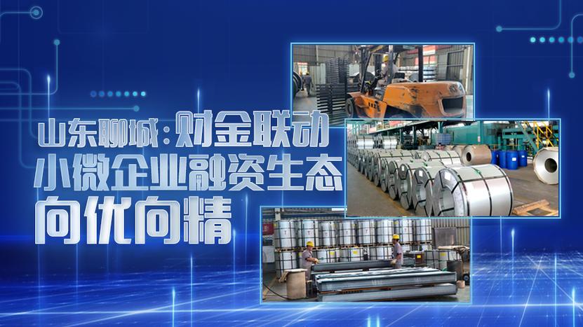 聊城财金发展有限公司