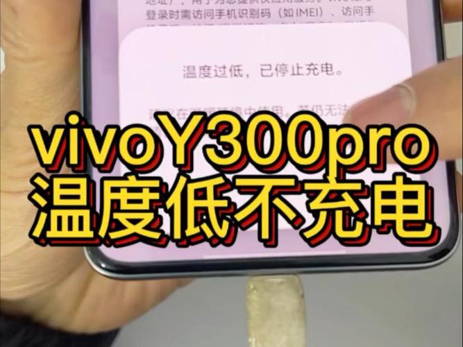 vivo温度低停止充电咋办缩略图