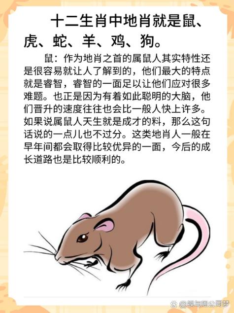 地肖准确答案的生肖
