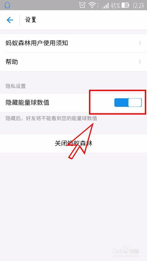 为什么蚂蚁森林没有能量显示