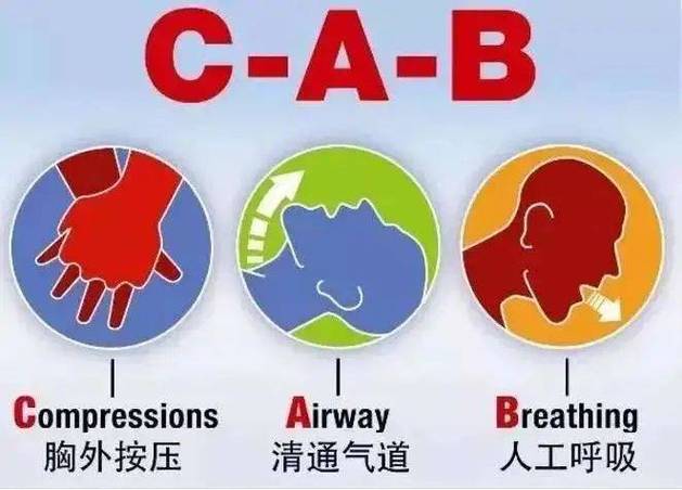 心肺复苏人工循环与人工呼吸次数比截图