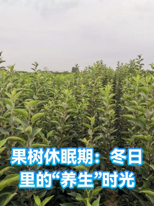 设置休眠时间的步骤