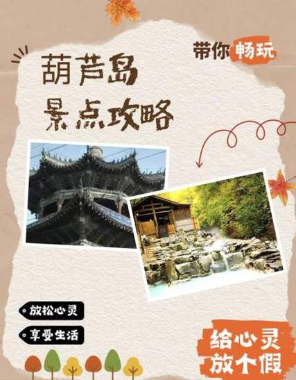 海岸线APP缩略图
