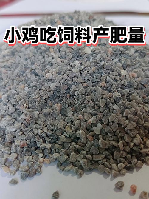 总计 合计 小鸡还有什么