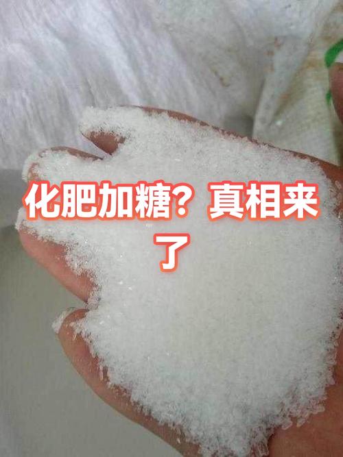 化肥加白糖会产生什么反应