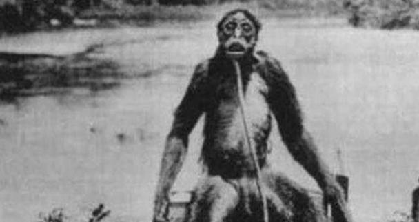 野人战士