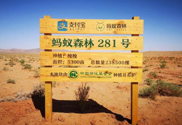 蚂蚁森林66个保护罩
