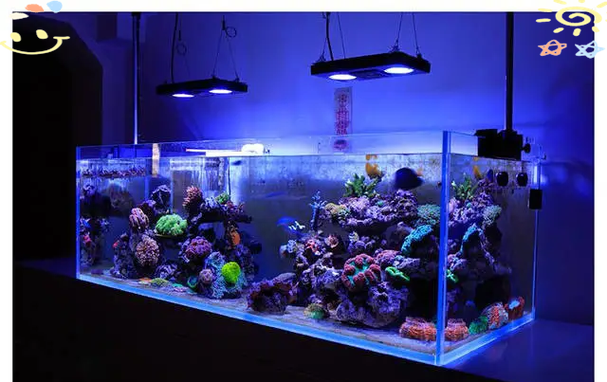 森森鱼缸照明灯忽然不亮了缩略图