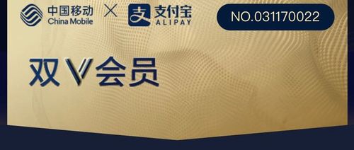 双v会员收费标准