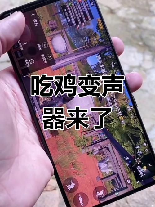 和平精英开变声器视频