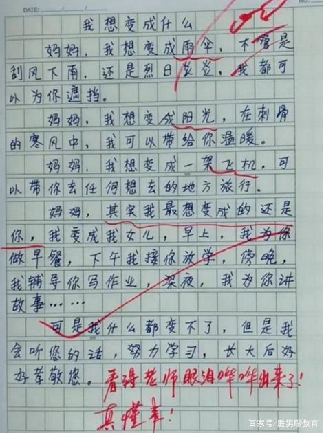 姐姐我可以查一下你的小学作文范文