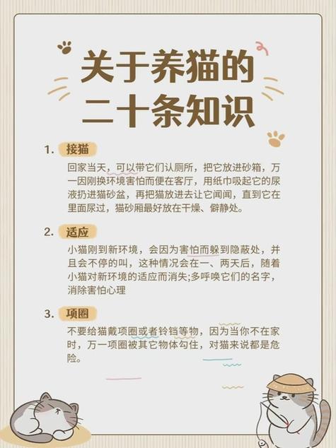 养猫的注意事项新手