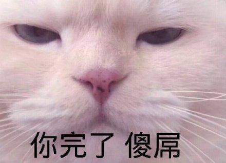 你完了表情包图片