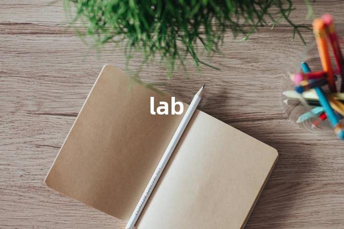lab的中文翻译