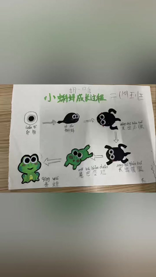 蝌蚪变成