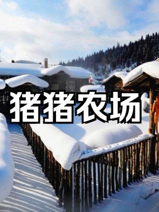 秦皇岛猪猪农场咋样