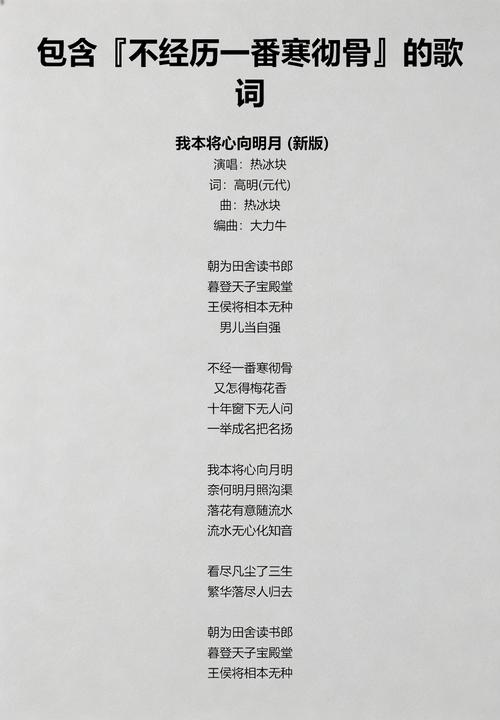 朝为天子埋头郎DJ