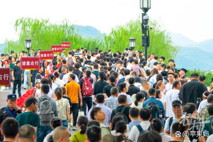 熊猫基地人流量