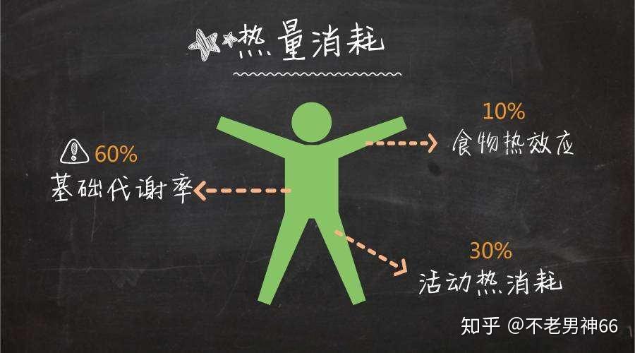 热量计算公式的应用场景