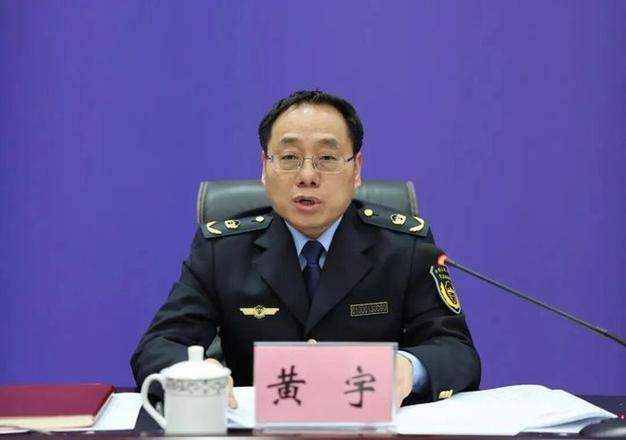 黄宇接受审查调查