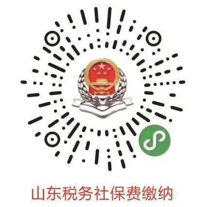 山东税务社保缴费小程序游戏截图