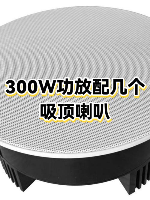 300w功放配几寸喇叭游戏截图
