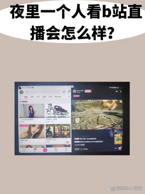 bilibili看直播加经验