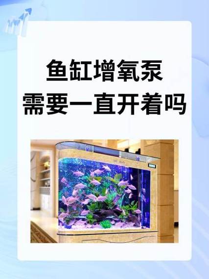 鱼缸增氧泵能一直开吗