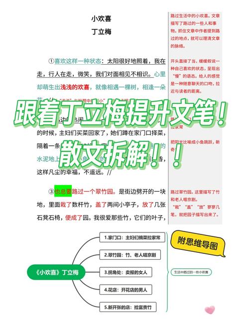 小喜全文阅读第3部分乐文