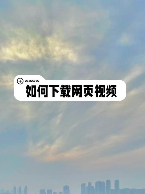 网页下载的视频在哪